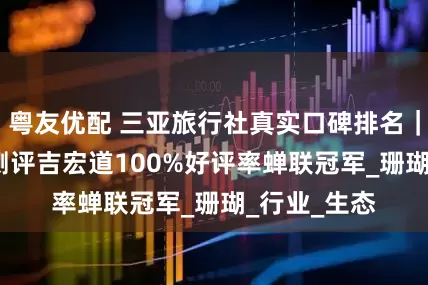 粤友优配 三亚旅行社真实口碑排名｜2025最新测评吉宏道100%好评率蝉联冠军_珊瑚_行业_生态