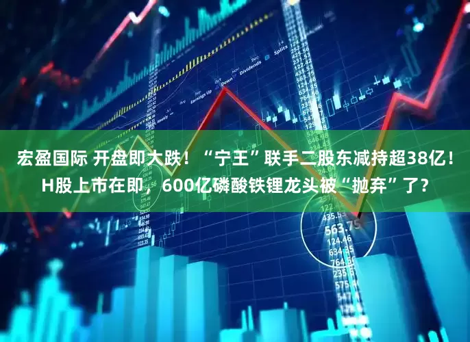 宏盈国际 开盘即大跌！“宁王”联手二股东减持超38亿！H股上市在即，600亿磷酸铁锂龙头被“抛弃”了？