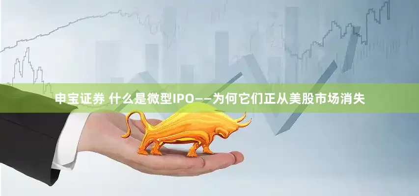 申宝证券 什么是微型IPO——为何它们正从美股市场消失